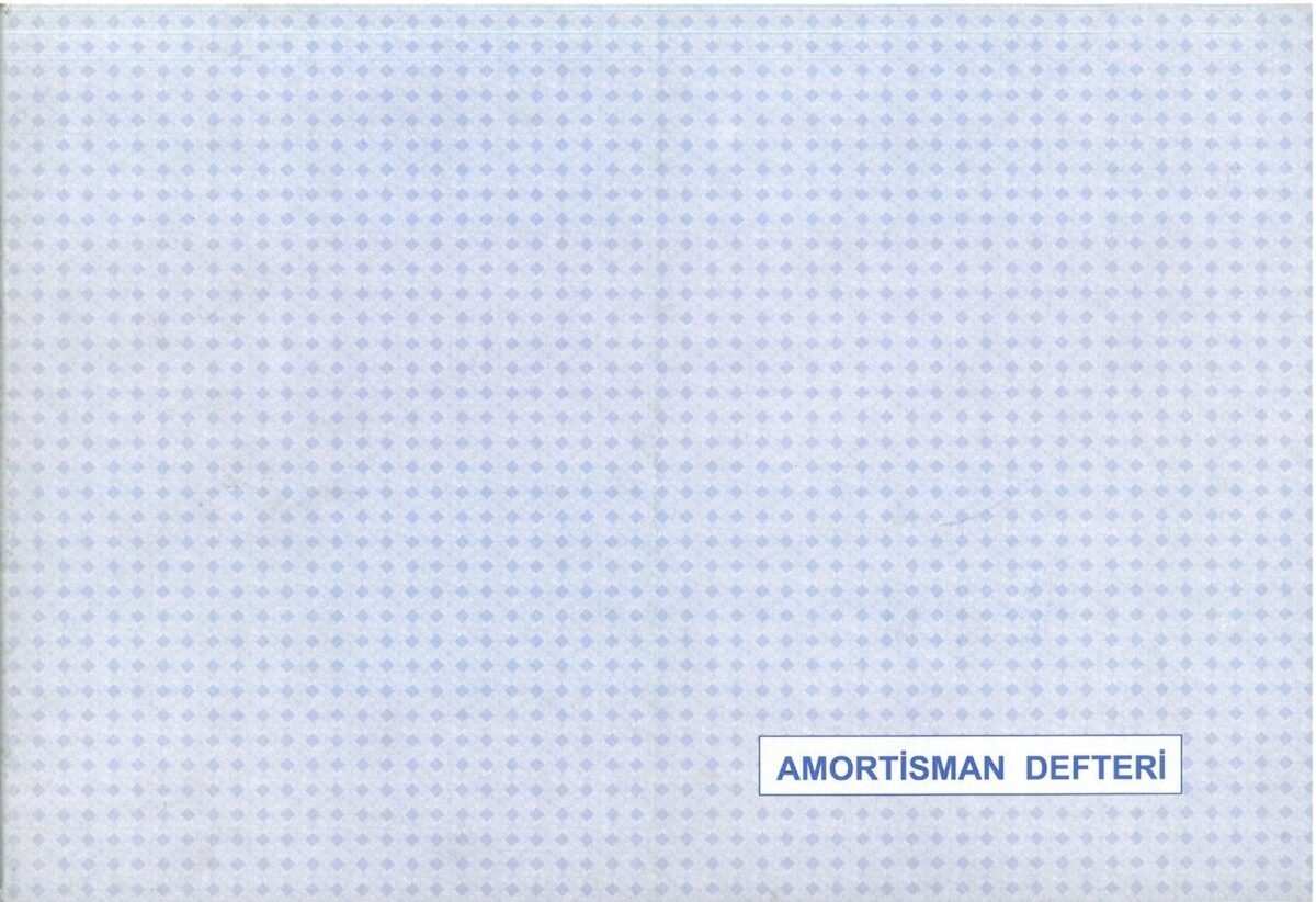DILMAN AMORTISMAN DEFTERI 20Y  - Görsel 1