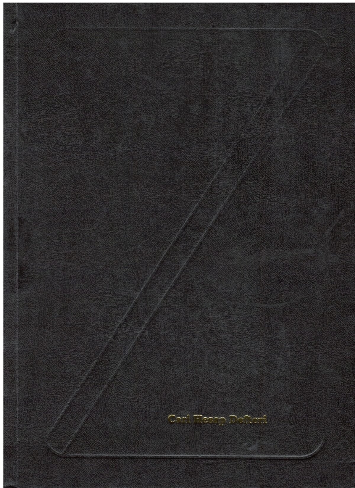 DILMAN CARI HESAP DEFTERI 20X28 192Y DIK - Görsel 1