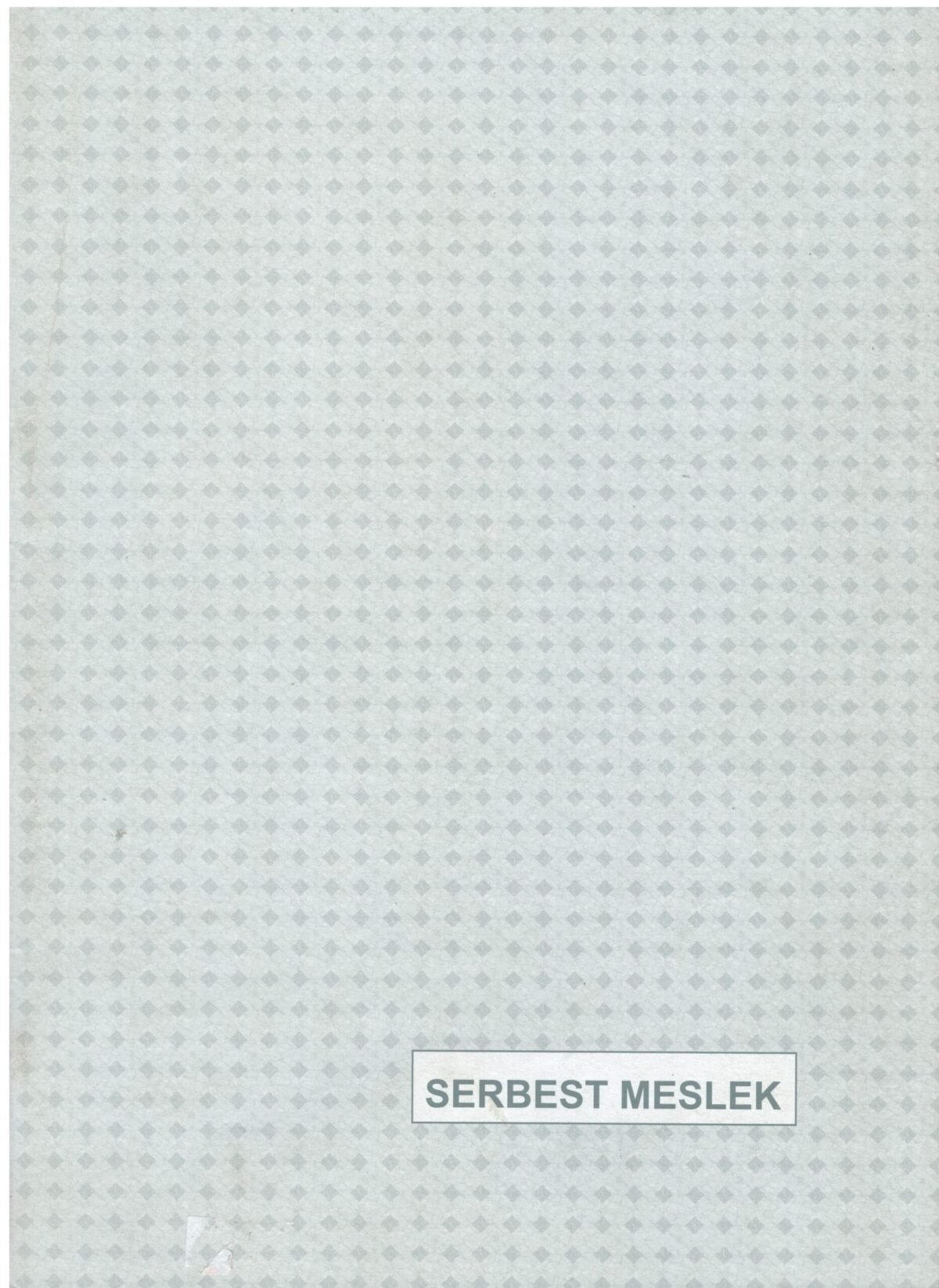 DILMAN SERBEST MESLEK DEFTERI 48Y KARTON KAPAK  - Görsel 1