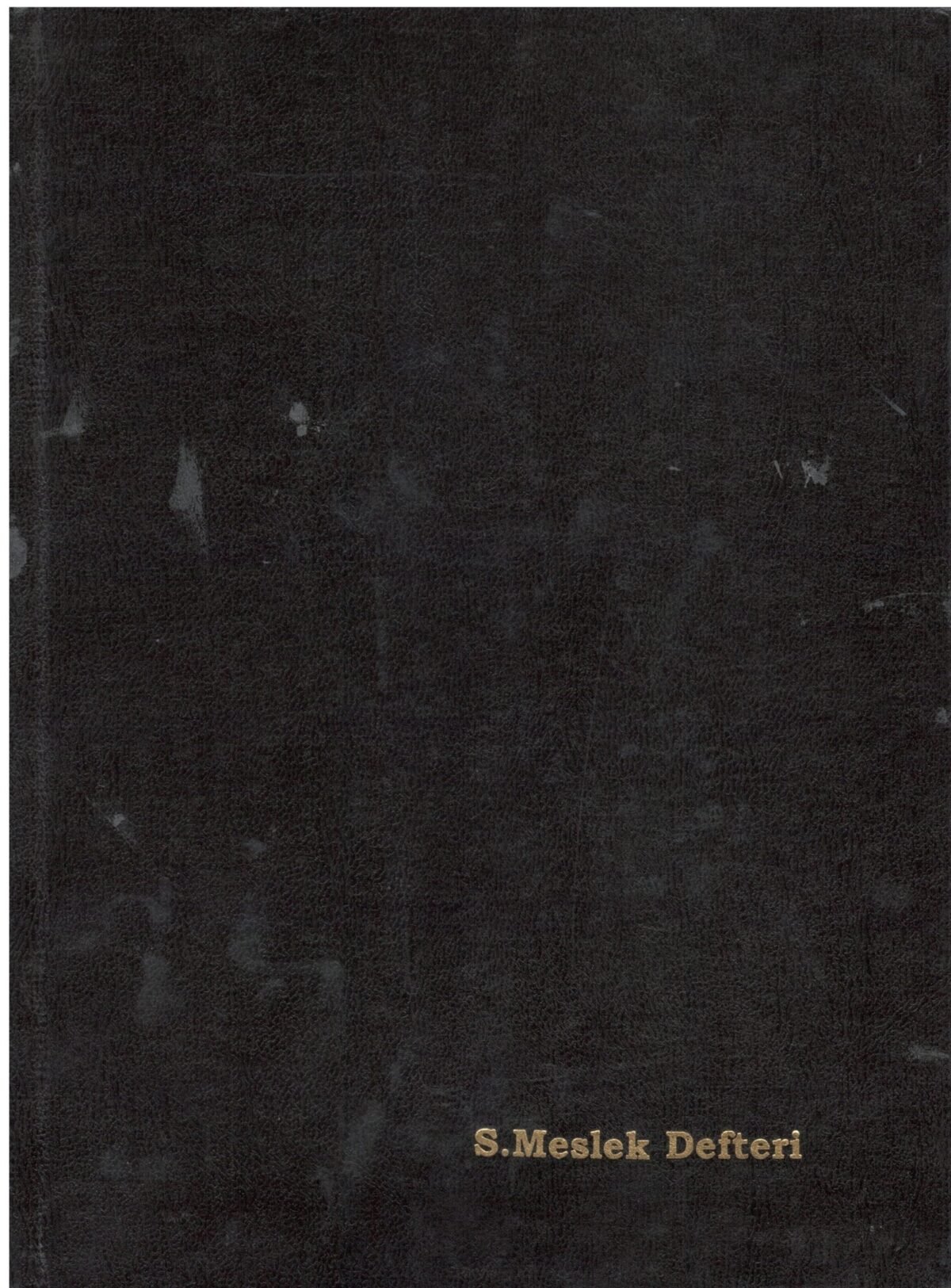 DILMAN SERBEST MESLEK DEFTERI 96Y CILTLI - Görsel 1