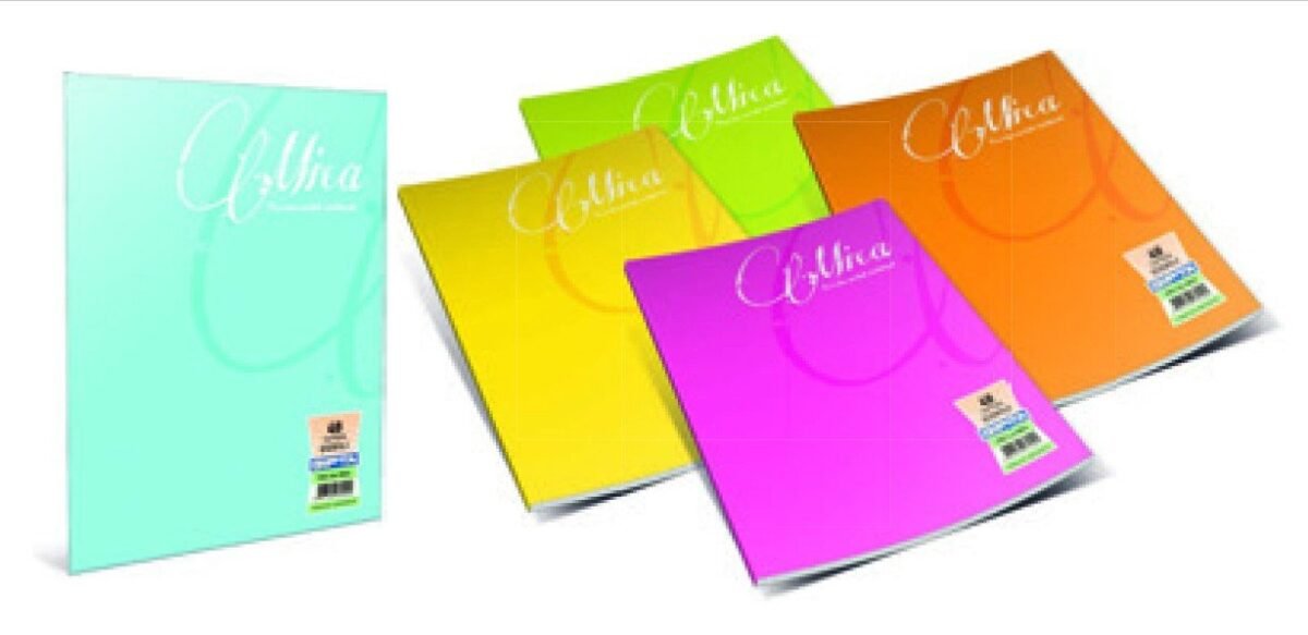 GIPTA MICA TEL DKS.PP.KPK. DEFTER A4 80 YP KARELI - Görsel 1