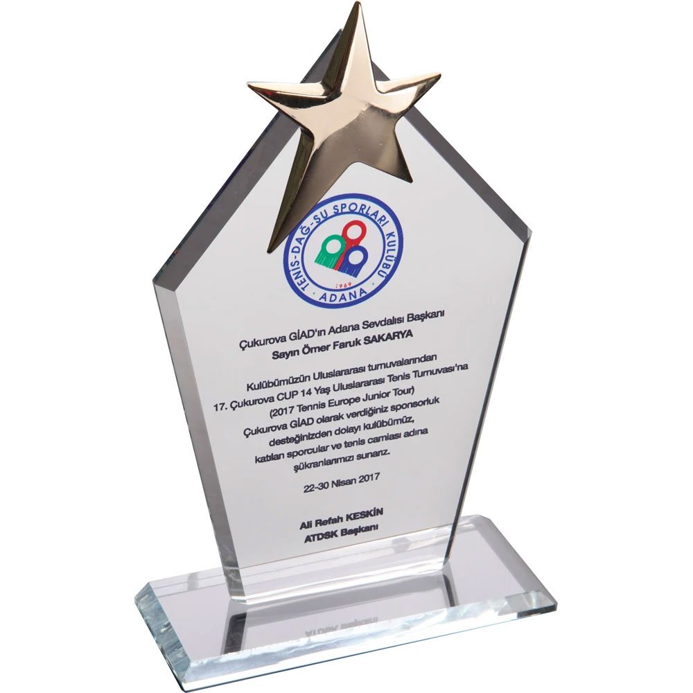 EKT-170-ŞF Kristal Plaket Şeffaf 12 x 21 cm EKT-170-ŞF Kristal Plaket Şeffaf 12 x 21 cm - Görsel 1